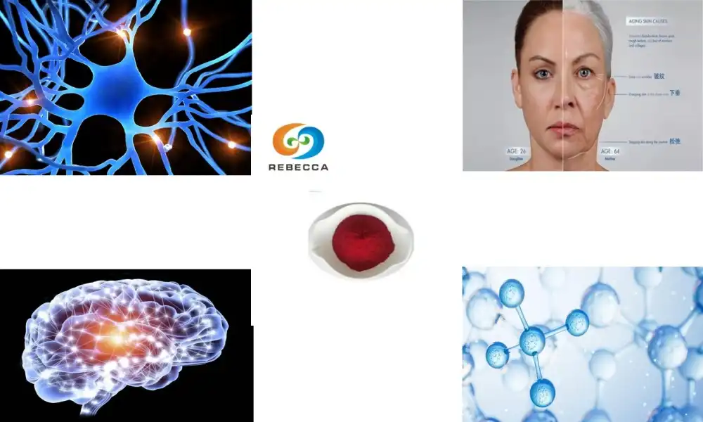 Top Benefits of PQQ Disodium Salt for Formulators Top Benefits of PQQ Disodium Salt for Formulators